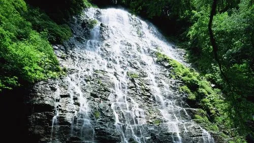 高效高端信息化